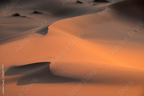 The golden dunes of Erg Chebbi near Merzouga in Morocco