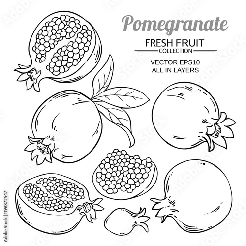 pomegranate fruits vector set