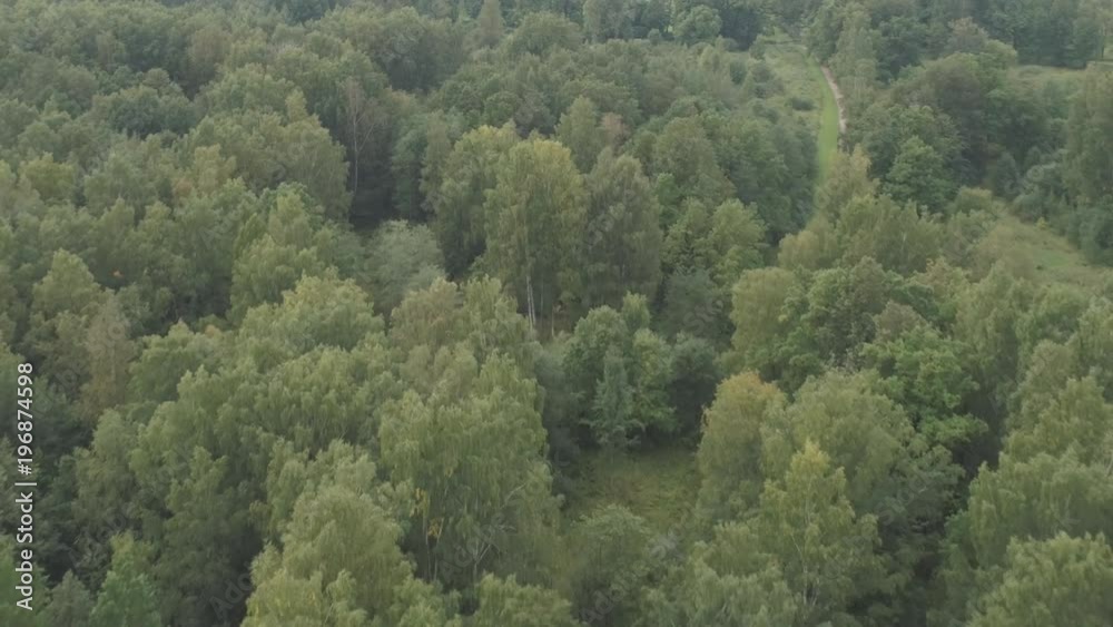 Aerial flying back and zoom over summer forest on a cloudy day Aerial flying back and zoom over summer forest on a cloudy day
