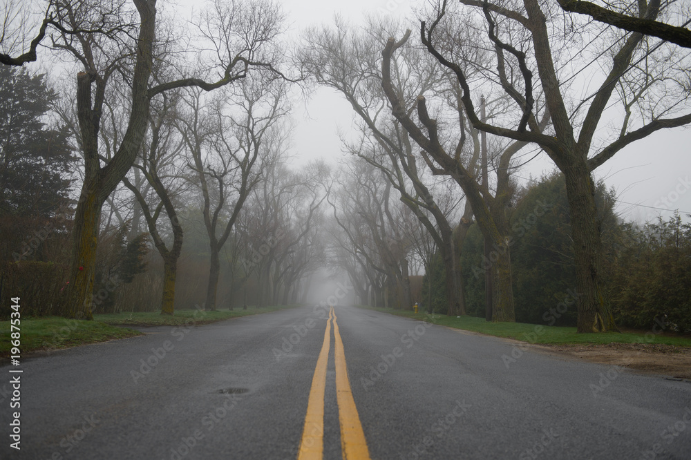 Fototapeta premium Foggy road with a beautiful tree line.