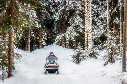 A man is riding a snowmobile in the winter forest © tenrec