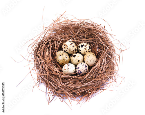 Quail eggs in a straw nest, isolated on white background.