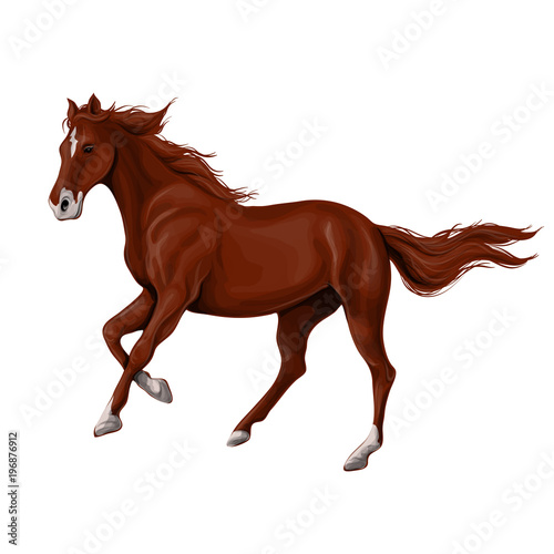 A horse stands, fawn, vector illustration