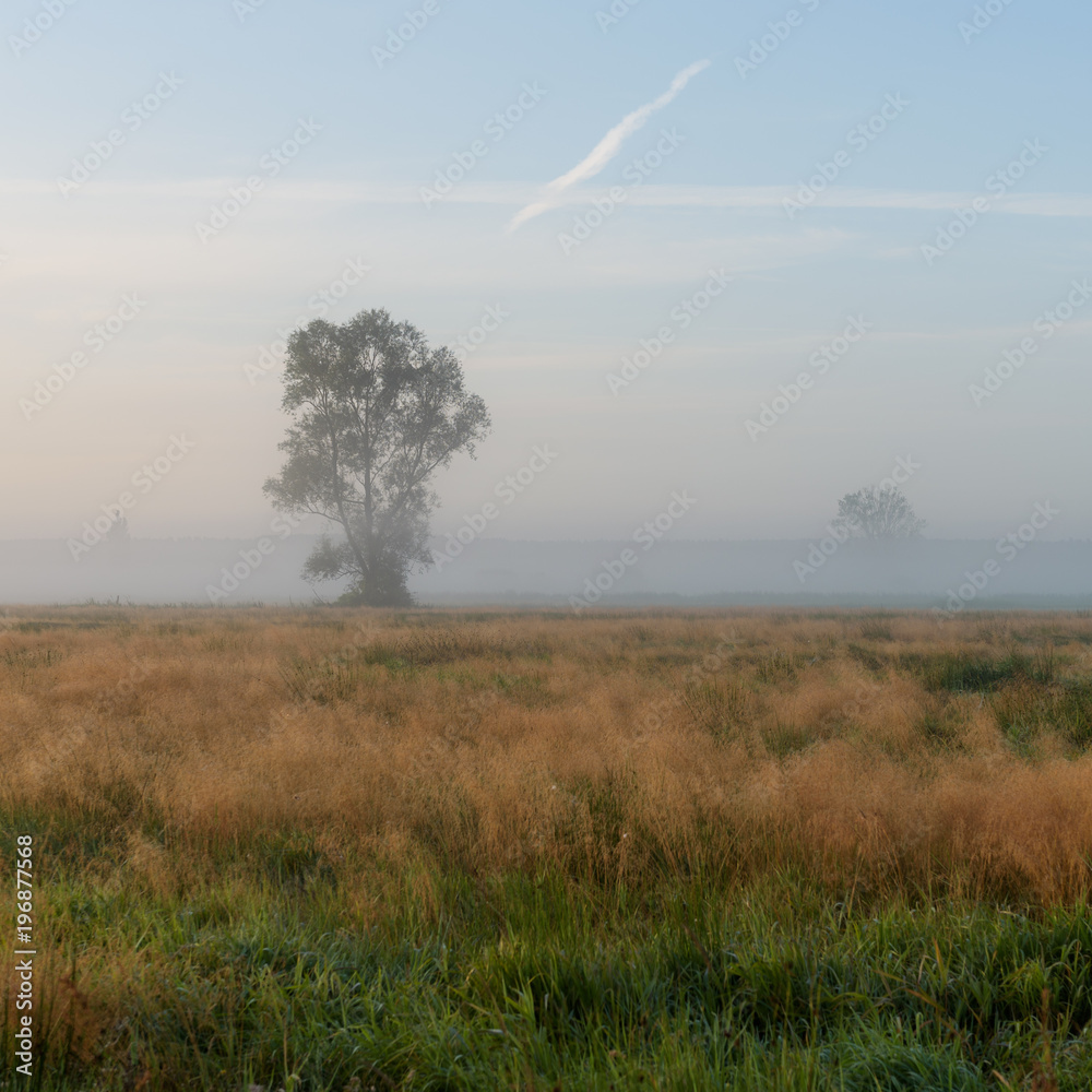 Fototapeta premium Westhavelland