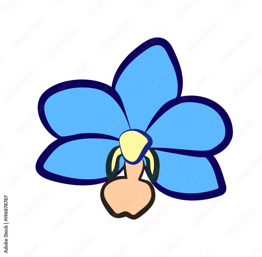 Vector illustration, flat cartoon blue orchid flower with yellow and orange parts isolated on white background Vector illustration, flat cartoon blue orchid flower with yellow and orange parts isolated on white background