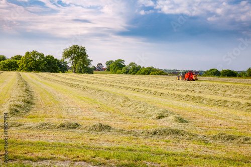 Vászonkép Summer rural landscape with tractor collecting hay in the field Southern England
