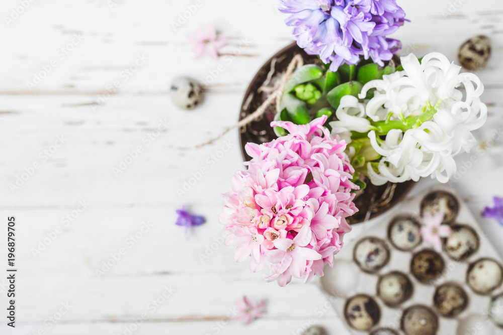 Obraz premium Flowering hyacinth flowers and quail eggs. Spring Easter concept