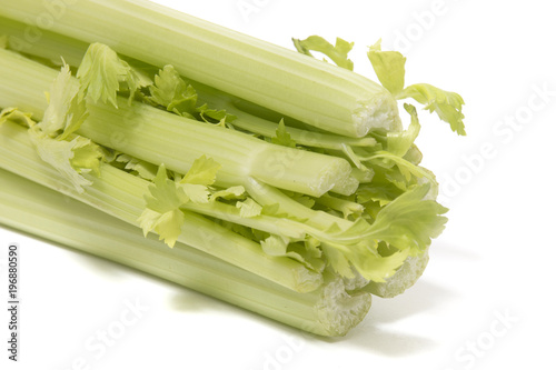 Celery vegetable on white