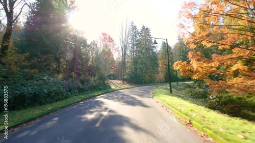Driving by car on the highway in the autumn forest. Video in motion along the park road. Nature video. Park landscape. Washington park arboretum, Seattle, WA, USA. 4K, 3840*2160, high bit rate, UHD