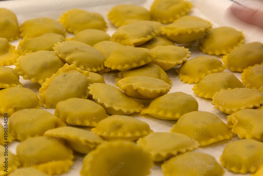Anolini