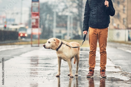 Man with dog in rain