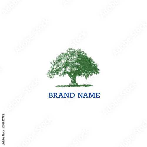 tree natural logo