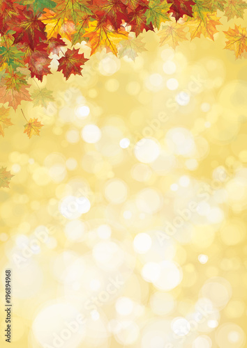Vector autumnal maples leaves border, autumn background.