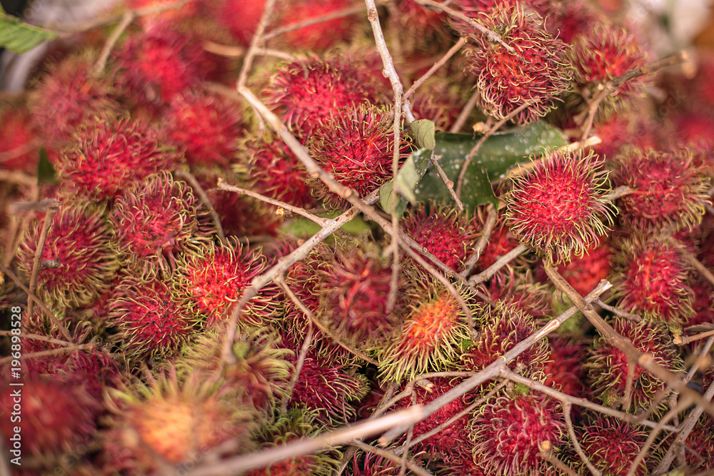 Rambutan background. Thailand, Phuket.
