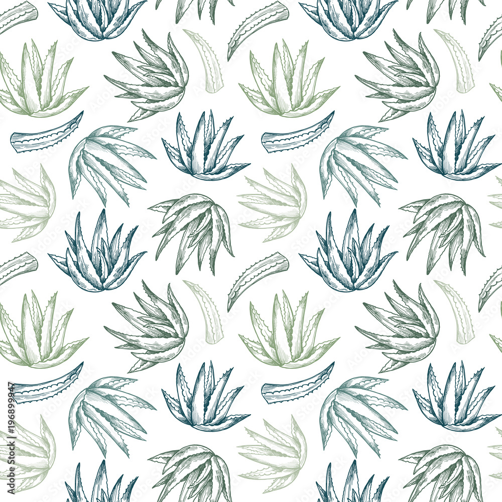 Hand drawn vector seamless pattern. Aloe vera. Herbal Background in sketch  style. Perfect for cosmetics labels, invitations, cards, leaflets etc Stock  Vector | Adobe Stock