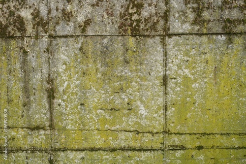 Old concrete wall with moss © Joachim Heller
