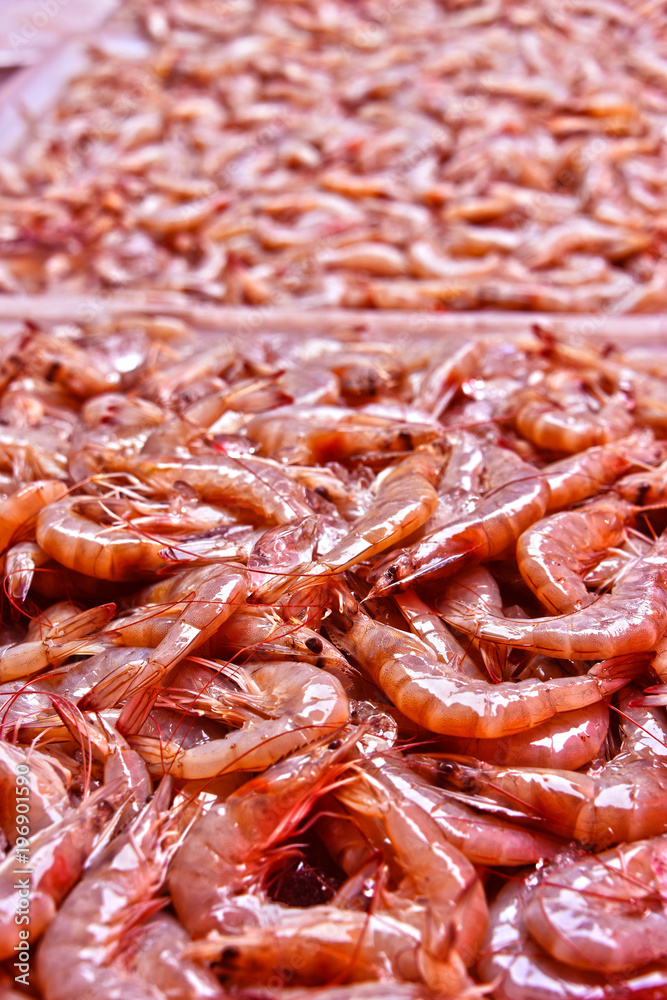 Fresh prawns on the street market stall in Bangkok, Thailand Fresh prawns on the street market stall in Bangkok, Thailand