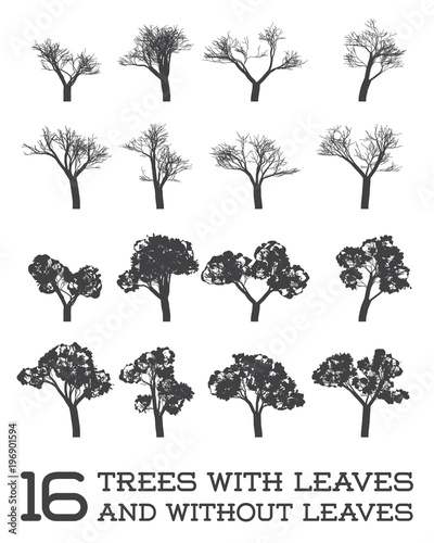 Set of Raster Trees in Silhouettes  Black and White  With and Without Leaves