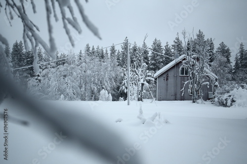 Typical Swedish wood house in frost and snow photo