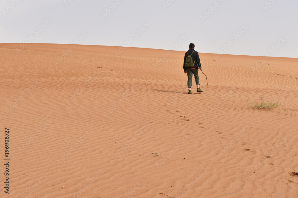 wandern in der Sandwüste