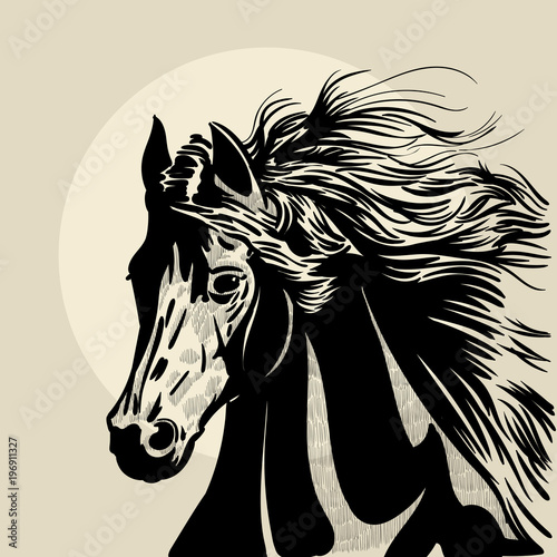 Horse head with a mane. Hand drawn illustration. Hand sketch.