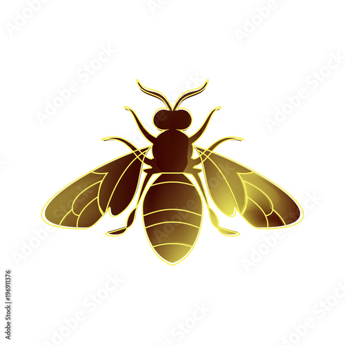 Golden honey bee uterus on white background.