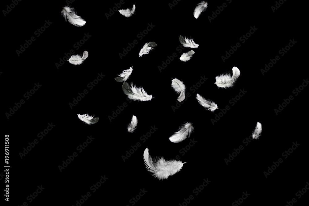 Abstract white feathers falling in the dark. Abstract white feathers falling in the dark.