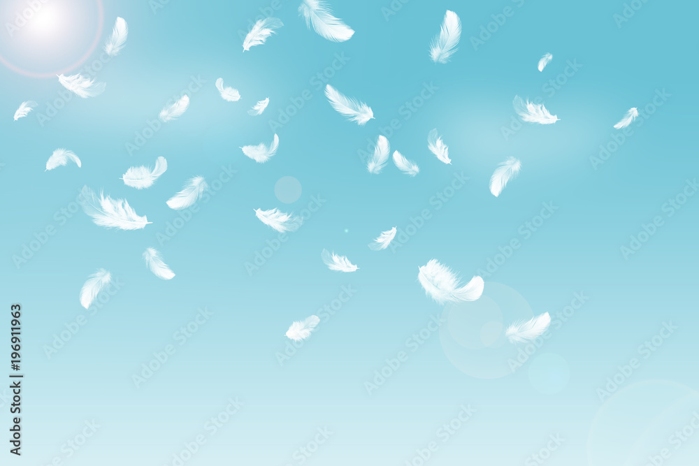 Abstract white feathers float in blue sky. Abstract white feathers float in blue sky.