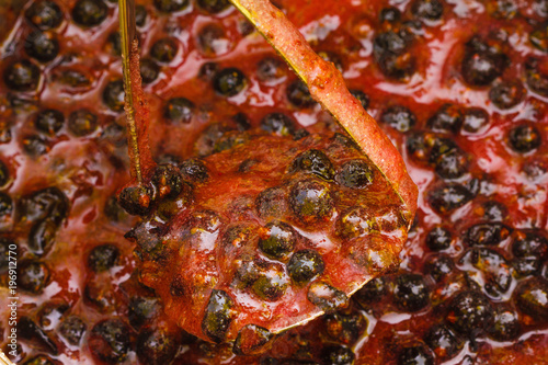 Black currant jam photo