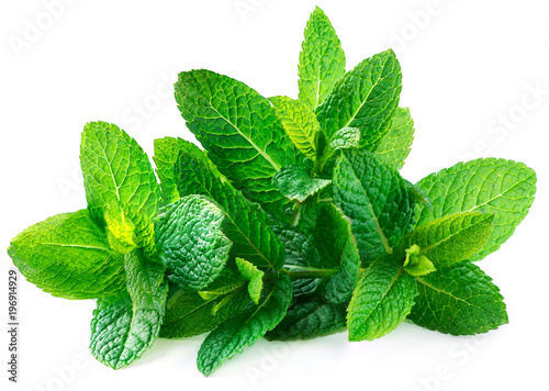 Fresh spearmint leaves isolated on the white background. 