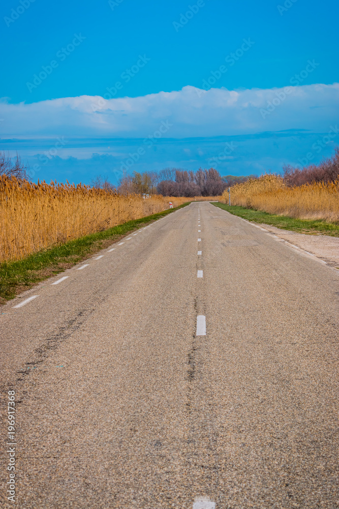 Route de Camargue