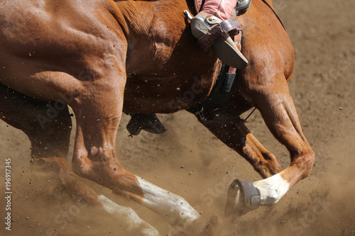 A close up view of a horse running in the dirt kicking up dust in a barrel race.