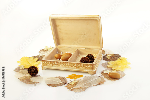 open wooden hand-made box with skeletonized leaves, acorns and cones on a white background.