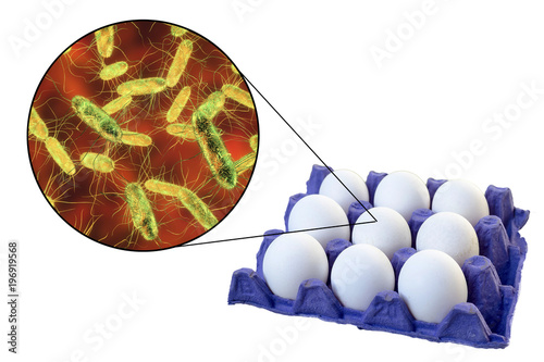 Contamination of eggs with Salmonella bacteria, medical concept for transmission of salmonellosis, 3D illustration photo