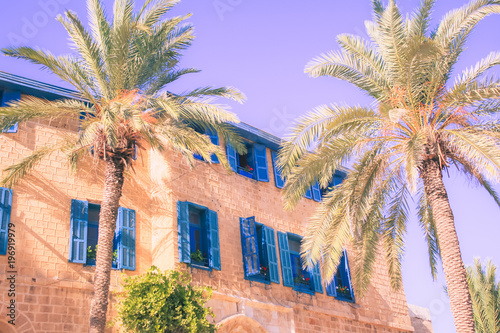 Southern house with blue colored windows near palm trees toned