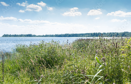 The shore of Lake Ladoga