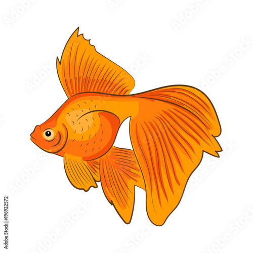Goldfish isolated on white background. Vector illustration.