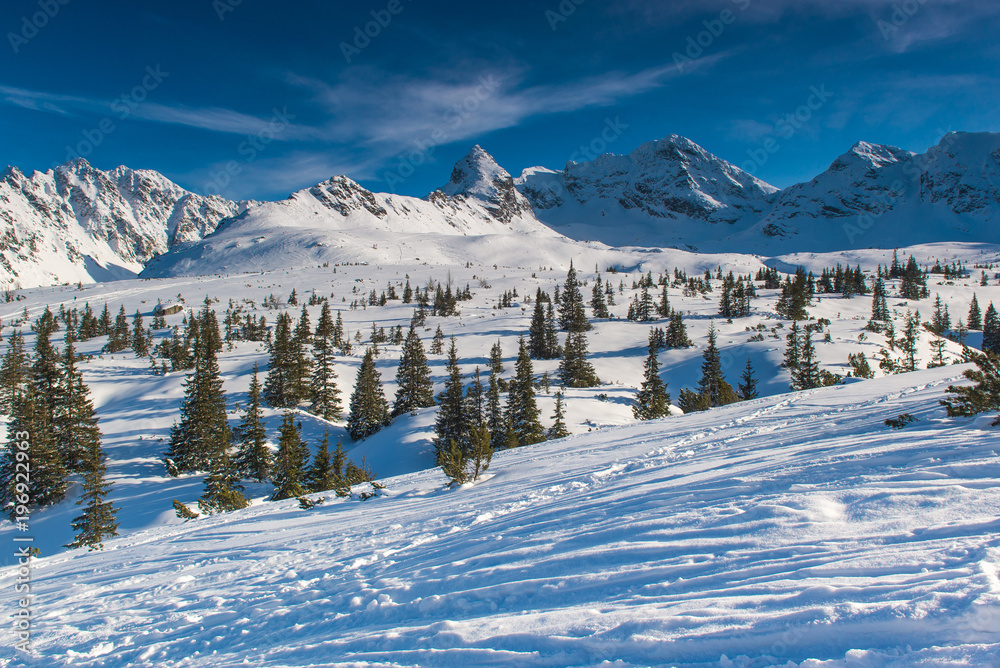 Fototapeta premium Tatra Mountains - Hala Gasienicowa, winter