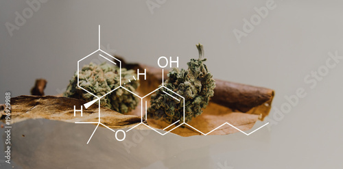 Fotografia weed blunt close-up