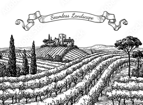 Vineyard seamless landscape.