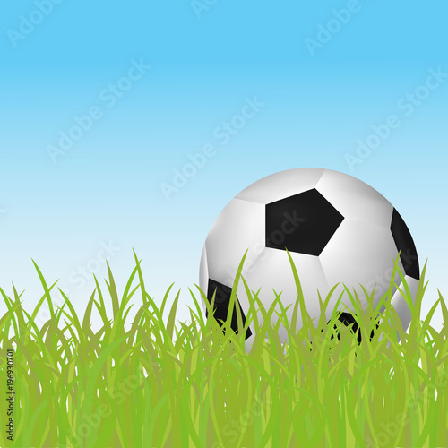 Realistic Soccer ball lying in the grass with blue sky background