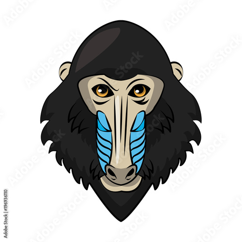 Mandrel monkey Wild animal head vector illustration graphic design