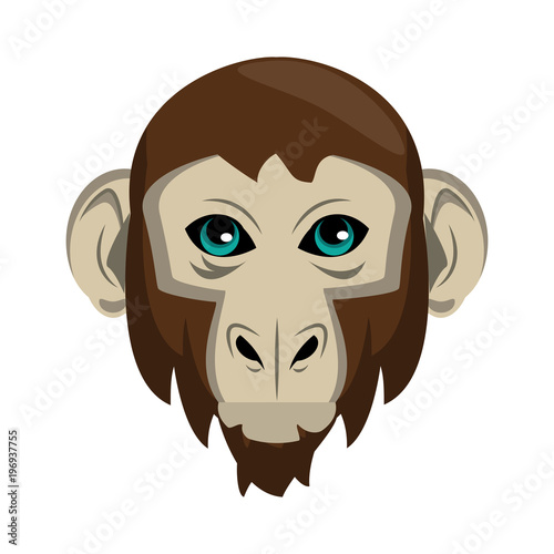 Monkey Wild animal head vector illustration graphic design