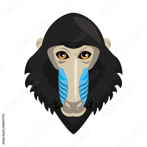 Mandrel monkey Wild animal head vector illustration graphic design
