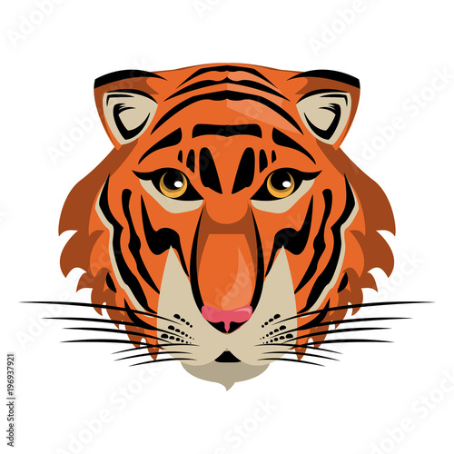 Tiger Wild animal head vector illustration graphic design