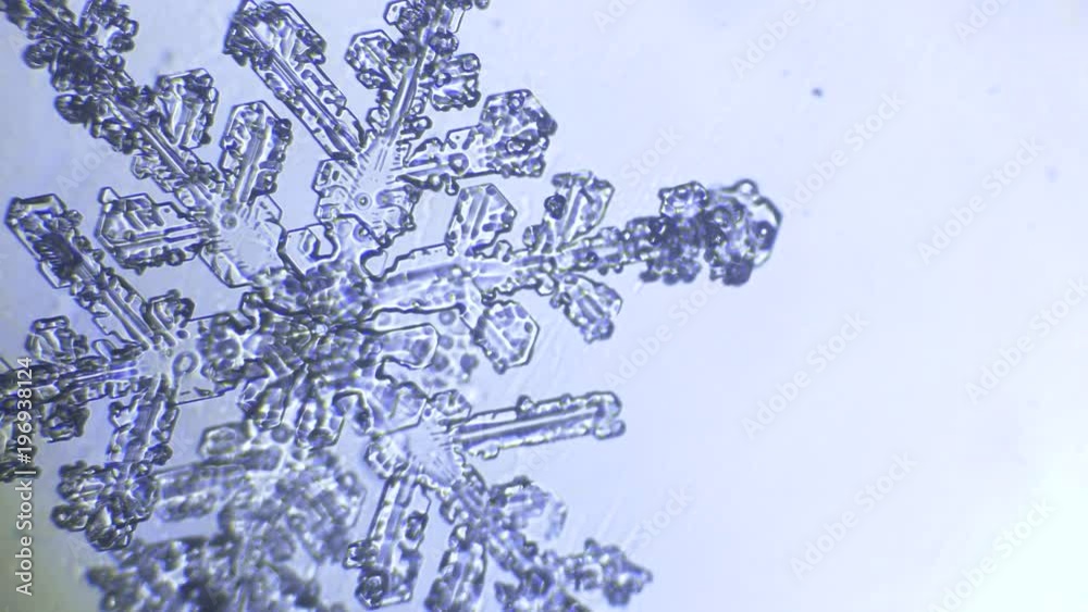 blue snowflake melts on white background