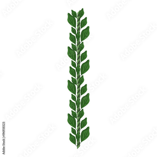 Bouquet of leaves vector illustration graphic design
