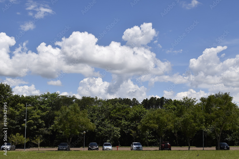 Horizonte com vegetação tropical, estacionamento de carros e um céu azul cheio de nuvens Horizonte com vegetação tropical, estacionamento de carros e um céu azul cheio de nuvens