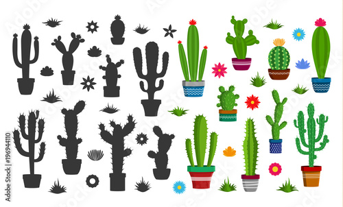 Vector cactus icons photo