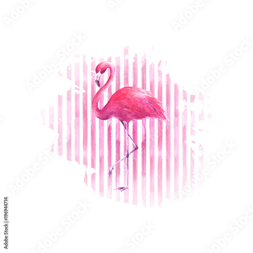 Flamingo on watercolor pink...